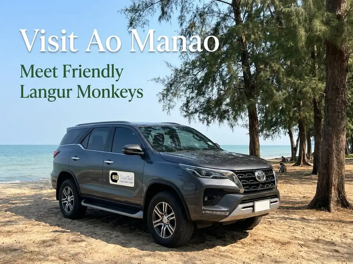 Private Toyota Fortuner taxi tour to the beautiful Ao Manao beach, home to friendly langur monkeys.